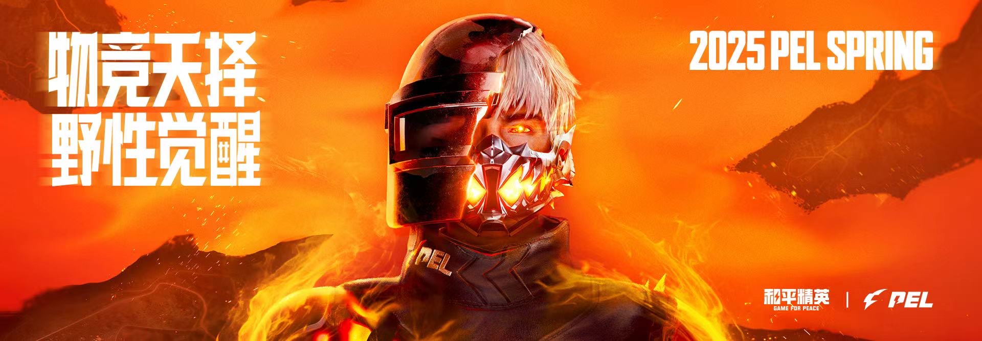 和平精英辅助软件的技术原理与实现方法